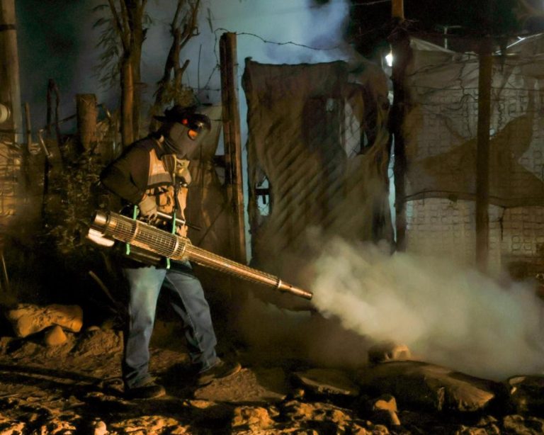 Mantiene Salud Sonora vigilancia y acciones de control del dengue en Sonora