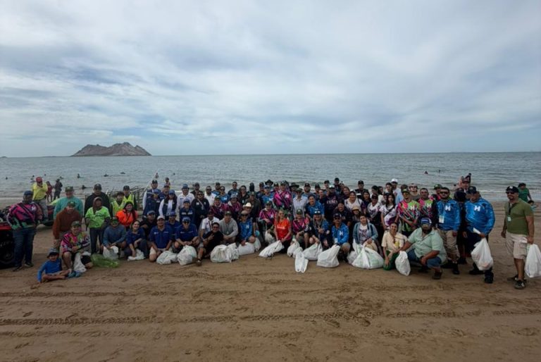 Realiza Gobierno de Hermosillo y sociedad civil limpieza de playa en Bahía de Kino