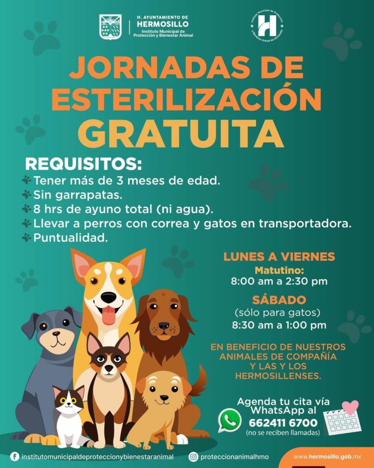 Mantiene agenda abierta Ayuntamiento de Hermosillo para esterilizaciones gratuitas para perros y gatos